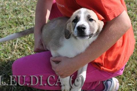 Mia, come sua sorella, ha una nuova casa!
